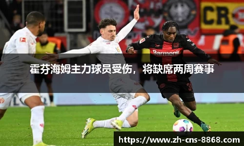 霍芬海姆主力球员受伤，将缺席两周赛事